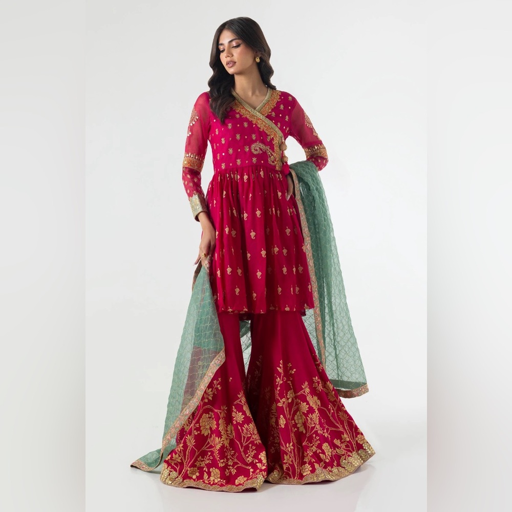 Elegant Pink and Green Women Gharara